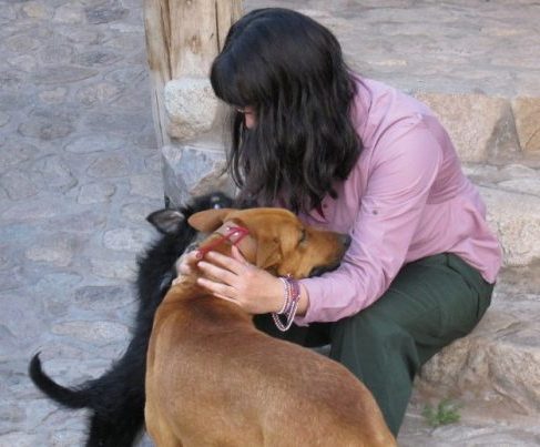 Dogs at Eco Endina no text (1A).JPG