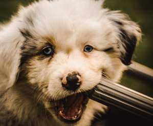 jametlene-reskp-656772-unsplash (1A).JPG