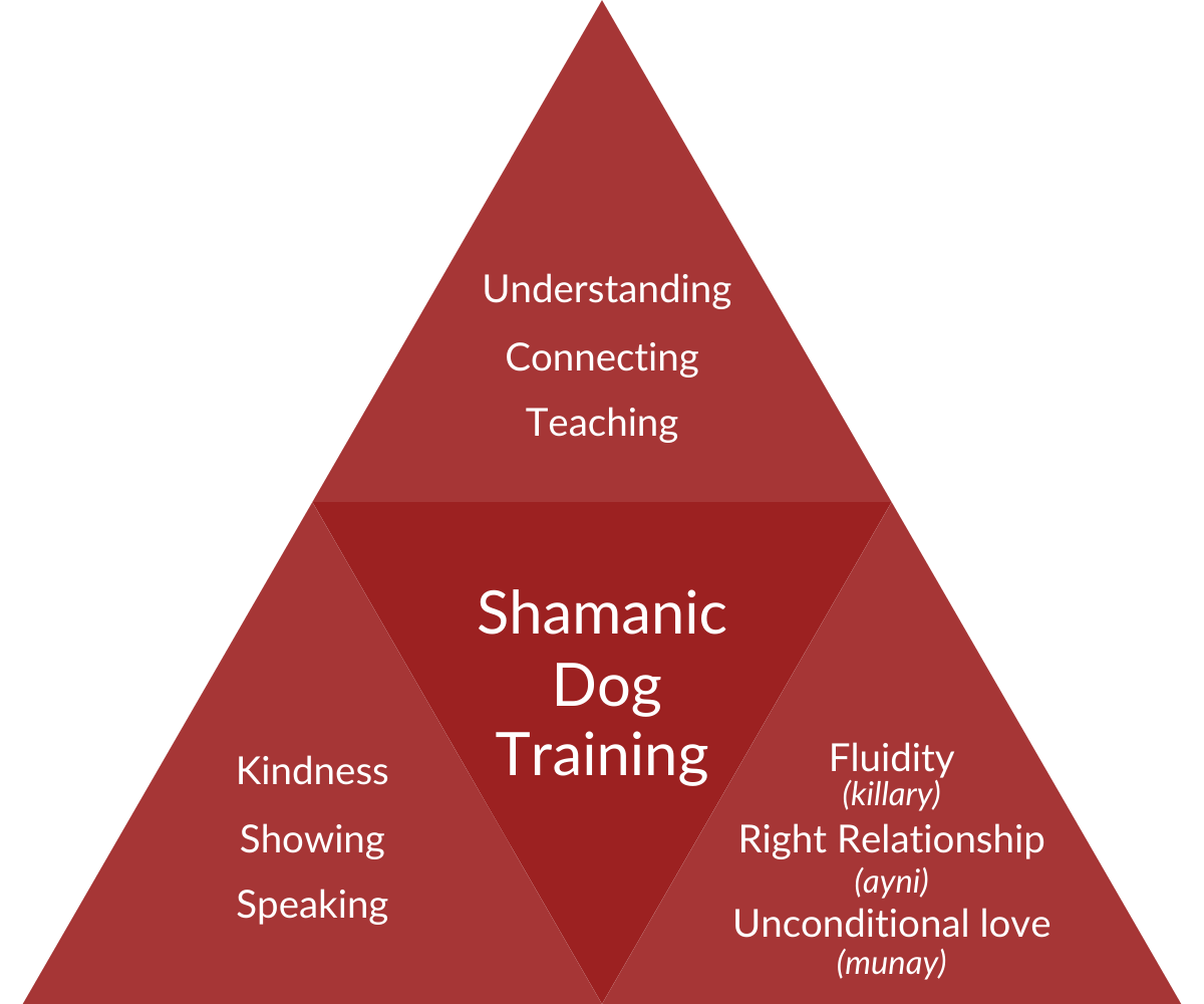 SDT Pyramid transparent