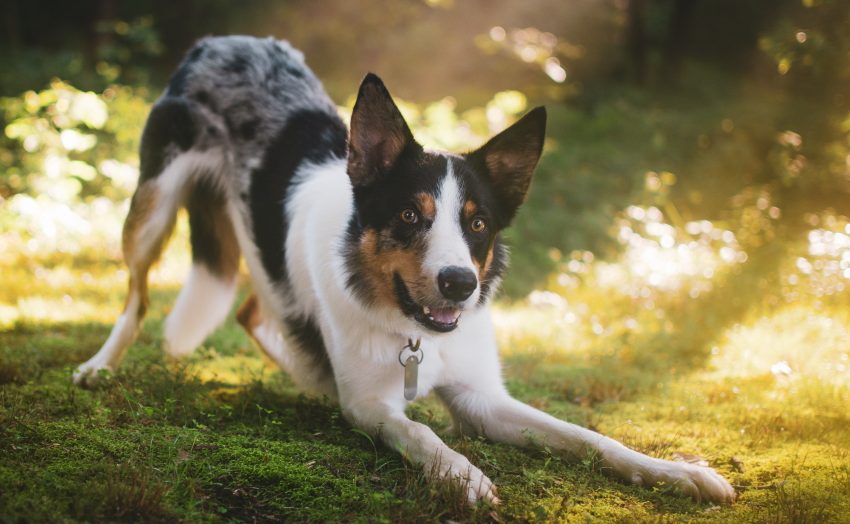 pexels-brixiv-3101084 1A