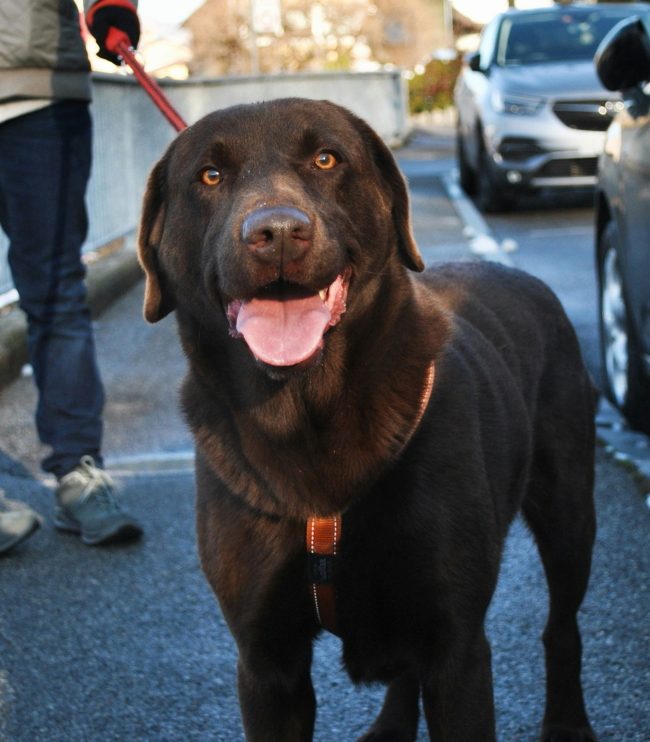 delia-giandeini-Xl7y2ffxdAg-unsplash (1A