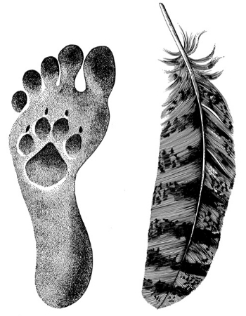 Feather_Foot 350x450
