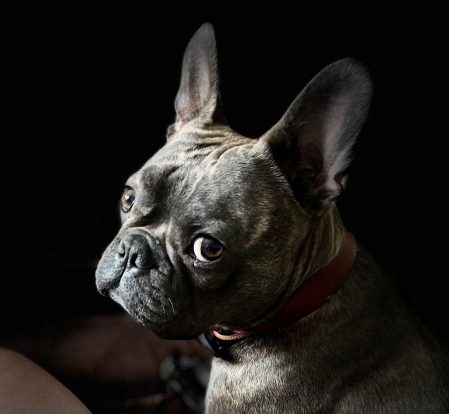 Walter 3 (1) 450x414
